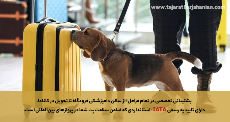ارسال حیوان خانگی به کانادا