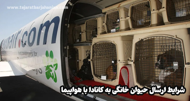 شرایط ارسال حیوان خانگی به کانادا با هواپیما